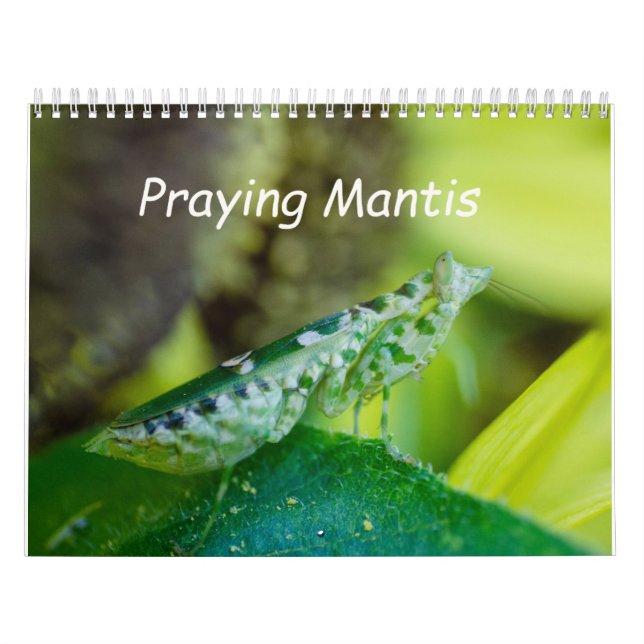 Praying Mantis Insects Calendar Kalender (Omslag)
