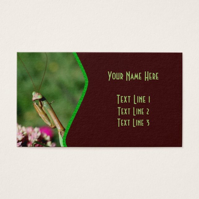 Praying Mantis Insekt Nature Visitkort (Framsidan)