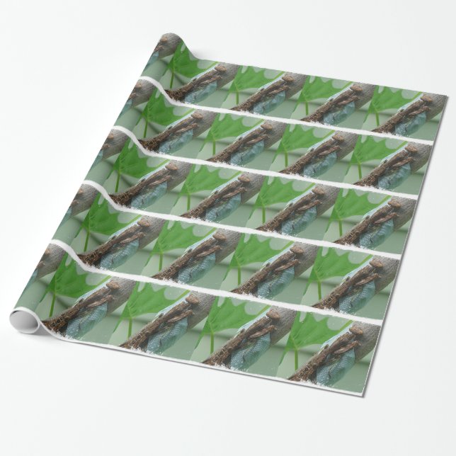 Praying Mantis Insekt Presentpapper (Utrullad)
