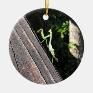 Praying Mantis Julgransprydnad Keramik
