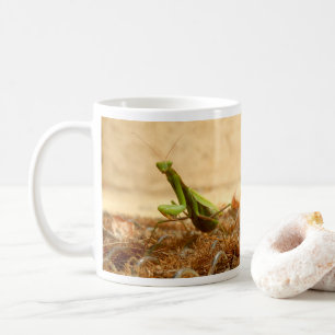 Praying Mantis Kryp Mugg