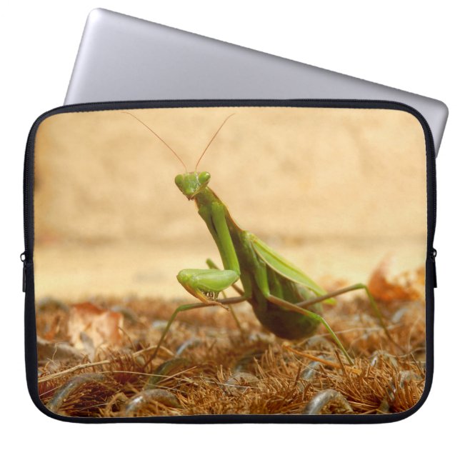 Praying Mantis Laptop sleeve (Framsidan)