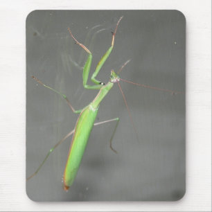 Praying Mantis Mousepad Plus Musmatta