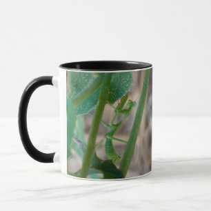 Praying Mantis Mugg