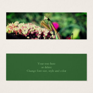 Praying Mantis Nature Mini Bookmark Litet Visitkort