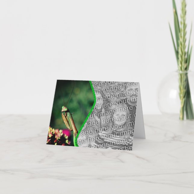 Praying Mantis Nature Photo Card Tack Kort (Framsida)