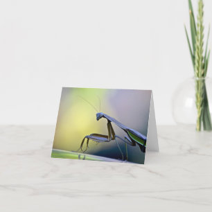 Praying Mantis Notecard Kort
