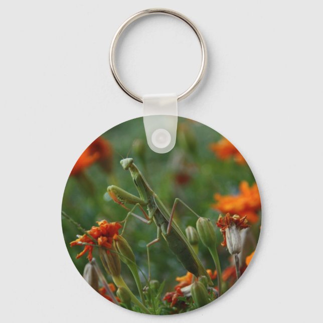 Praying Mantis Nyckelring (Framsida)