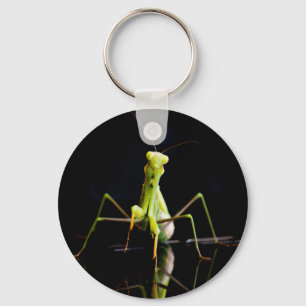 Praying mantis nyckelring