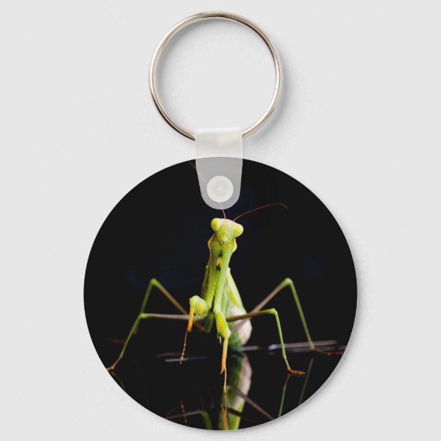 Praying mantis nyckelring (Framsida)