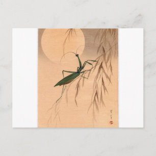 Praying Mantis och Måne japansk Art c. 1800-talet Vykort