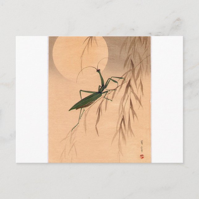 Praying Mantis och Måne japansk Art c. 1800-talet Vykort (Framsida)