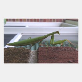 Praying Mantis on Brick Wall Rektangulärt Klistermärke