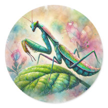 Praying Mantis on Löv Watercolor