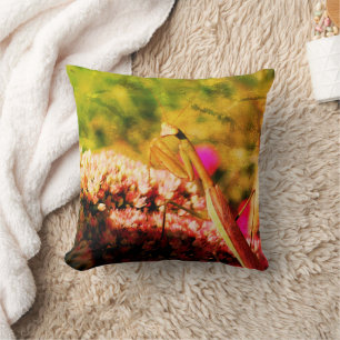 Praying Mantis on Sedum Flower Abstrakt Grunge Kudde
