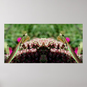 Praying Mantis on Sedum Flower Spegel Abstrakt Poster