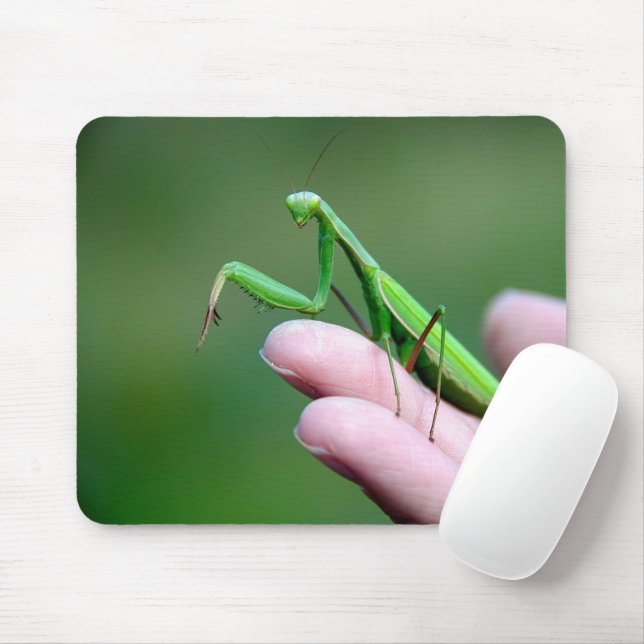 Praying Mantis på en hand Musmatta (Med mus)