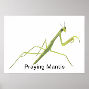 Praying Mantis Painting Anpassningsbar Poster