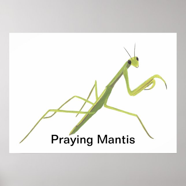 Praying Mantis Painting Anpassningsbar Poster (Framsidan)