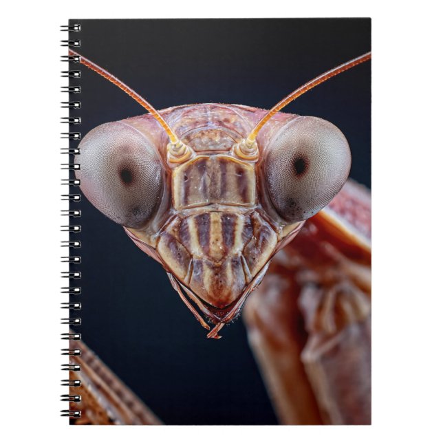 Praying Mantis Porträtt Notebook Anteckningsbok (Framsidan)