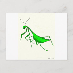 Praying Mantis Products Vykort