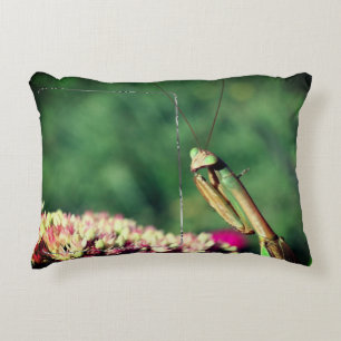 Praying Mantis Ram Skapar ditt eget foto Prydnadskudde