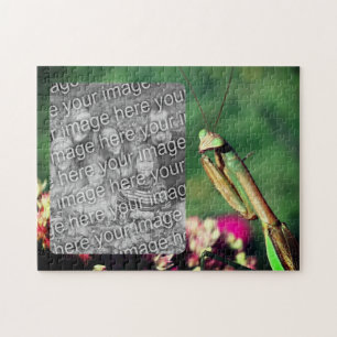 Praying Mantis Ram Skapar ditt eget foto Pussel