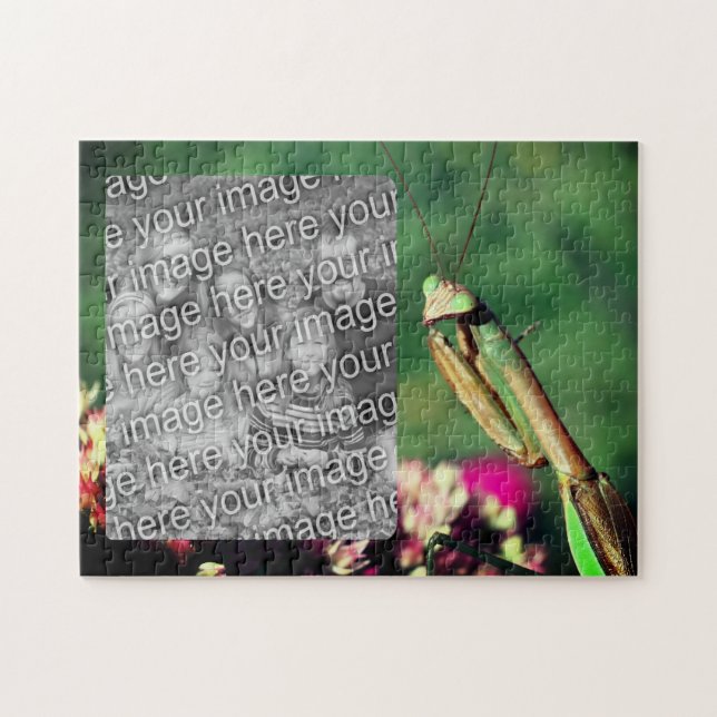 Praying Mantis Ram Skapar ditt eget foto Pussel (Horisontell)