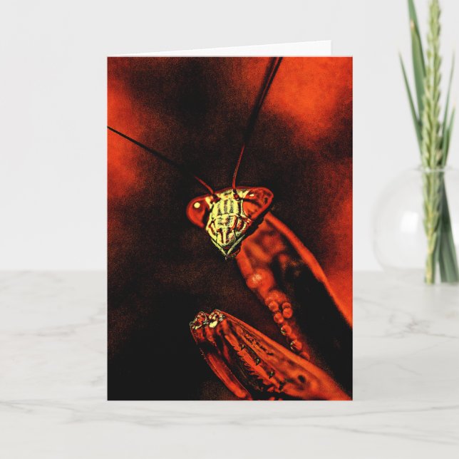 Praying Mantis - Red Nightmare Kort (Framsida)
