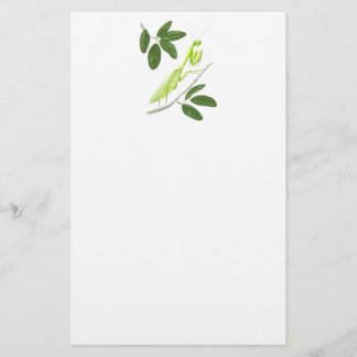 Praying Mantis Stationery Brevpapper