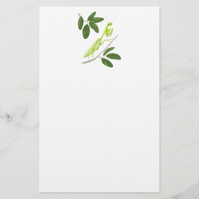 Praying Mantis Stationery Brevpapper (Framsida)