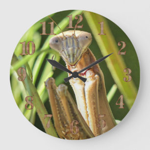 Praying Mantis Stor Klocka