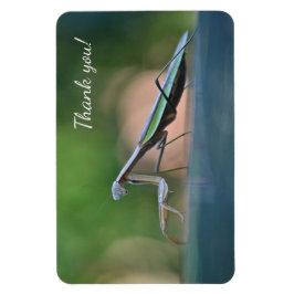 Praying Mantis Tack Magnet