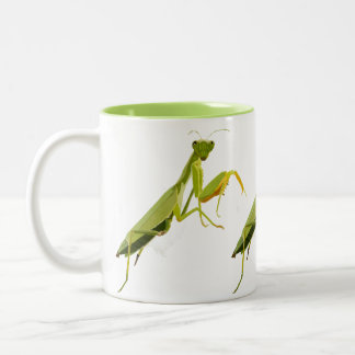Praying Mantis Två-Tonad Mugg