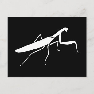 Praying Mantis Vykort