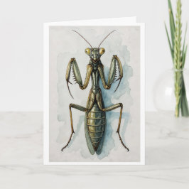 Praying Mantis watercolor painting insect art  Kort