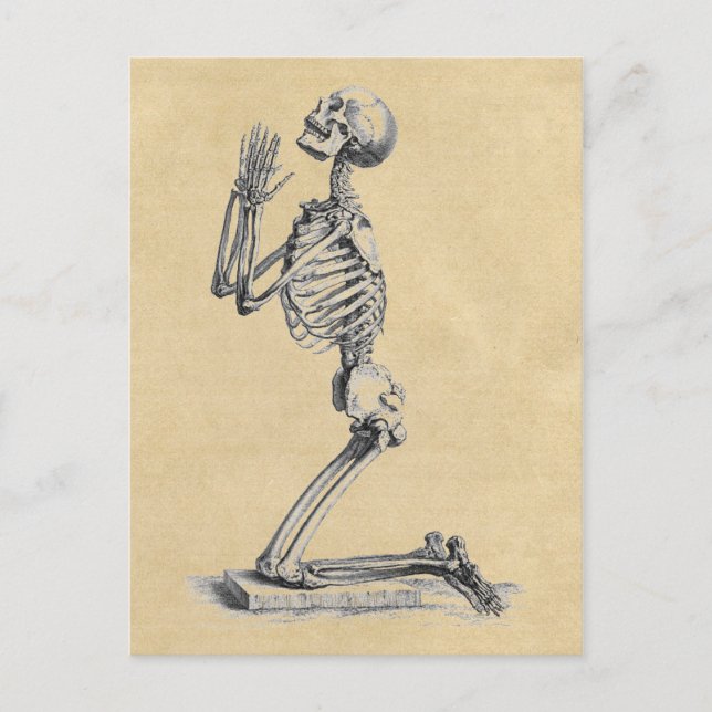 Praying Skeleton Anatomy of the Bones Vykort (Framsida)
