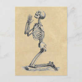 Praying Skeleton Anatomy of the Bones Vykort