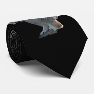 Pre-Flyg kontrollTie Slips