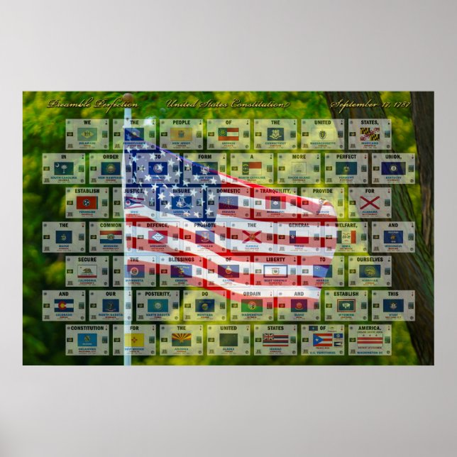 Preamble Perfection - Förenta staternas konstituti Poster (Framsidan)