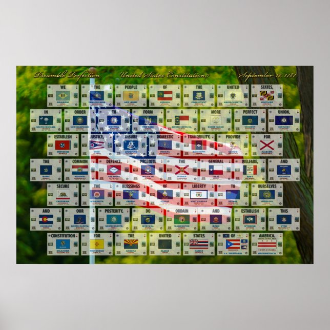 Preamble Perfection - Förenta staternas konstituti Poster (Framsidan)