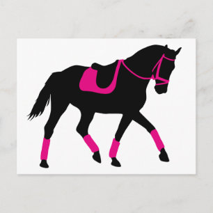 Precious Dressage Horse Vykort