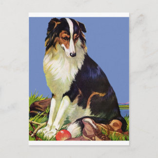 Precious Family Pet Vykort