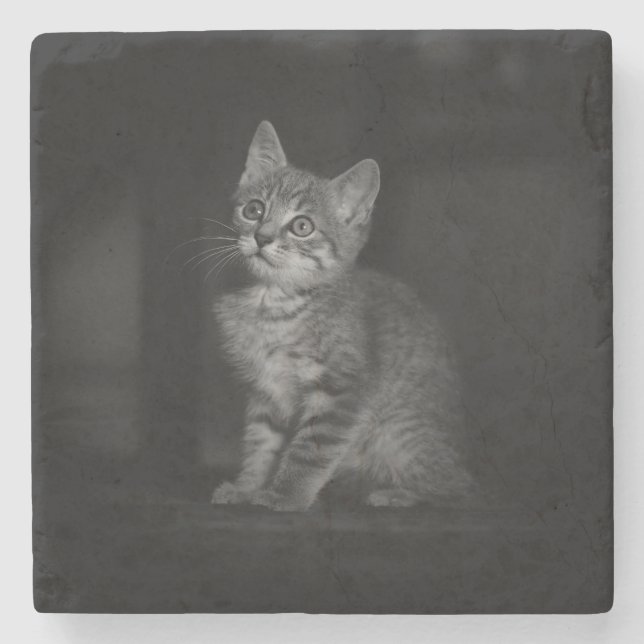 Precious Kitten Stenunderlägg (Framsidan)