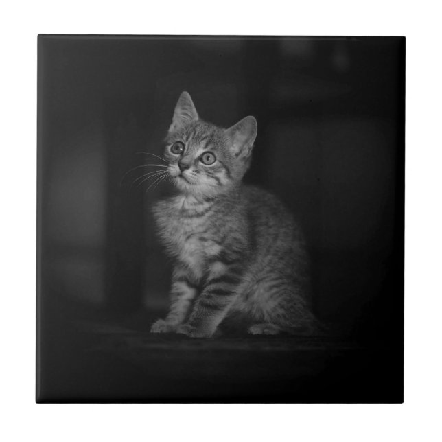 Precious Kitten Välkommen Kakelplatta (Framsidan)