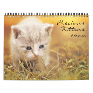Precious Kittens Kalender
