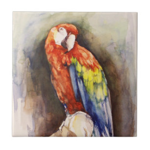 Precious Parrot Tile Kakelplatta