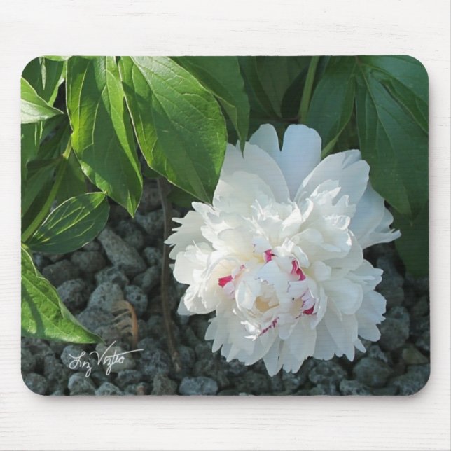 Precious Peony Mousepad Musmatta (Framsidan)