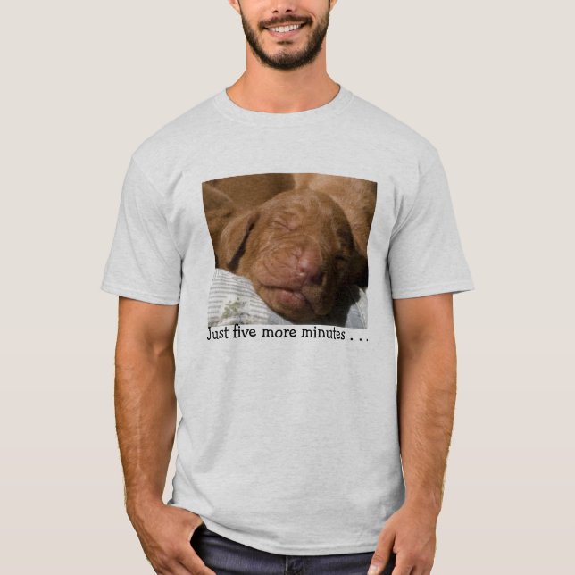 Precis 5 mer mintes t-shirt (Framsida)