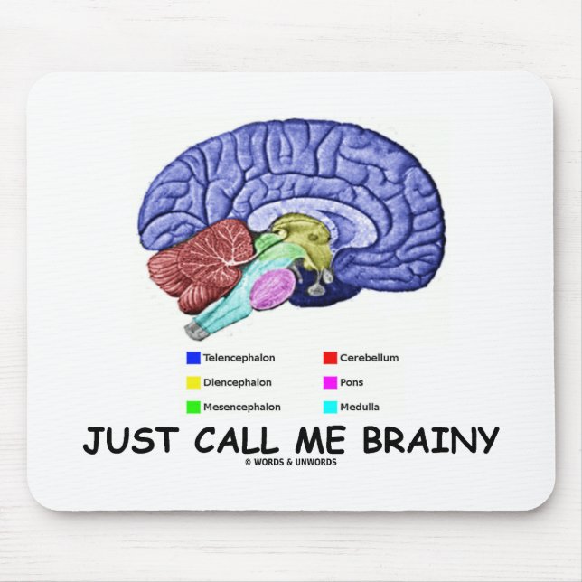Precis appell mig som är klyftig (den Anatomical Musmatta (Framsidan)
